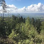 Waldlaeufer *