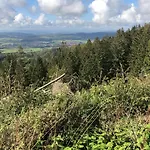 Waldlaeufer *