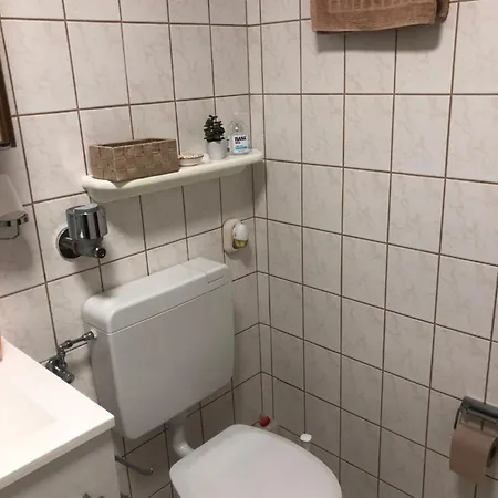 Waldlaeufer *