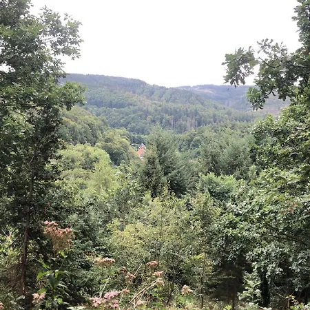 Waldlaeufer شقة *
