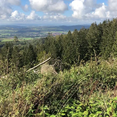 Waldlaeufer *