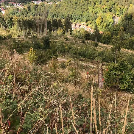 Waldlaeufer