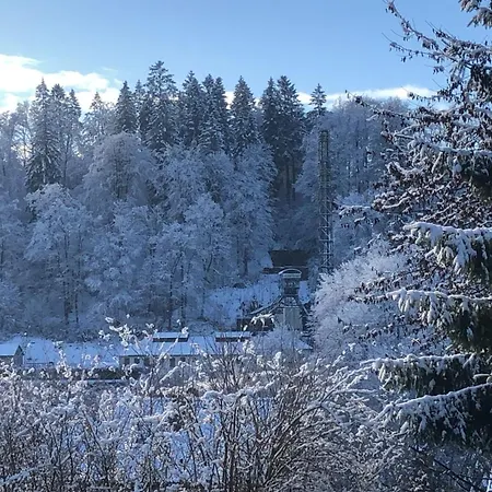 Waldlaeufer *